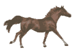 running horse